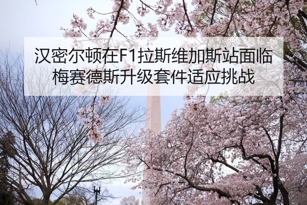 han-mi-er-dun-zai-la-si-wei-jia-si-zhan-mian-lin-mei-sai-de-si-sheng-ji-tao-jian-shi-ying-tiao-zhan-2-409.jpg