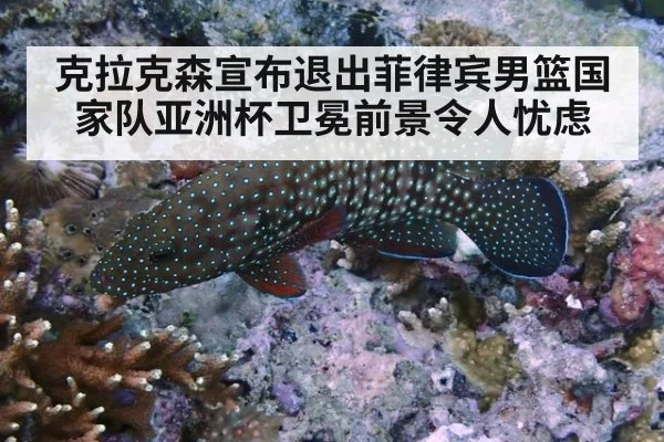 克拉克森宣布退出菲律宾男篮国家队亚洲杯卫冕前景令人忧虑